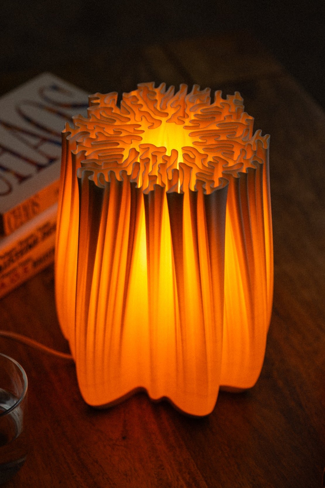 SX1