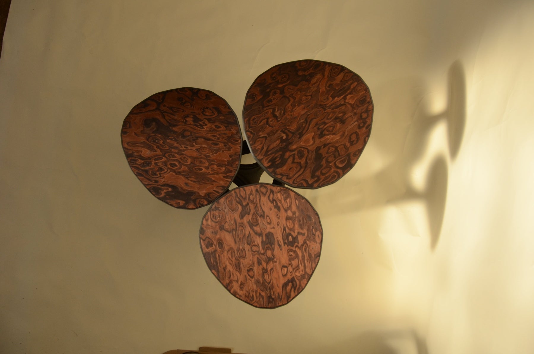 dendria